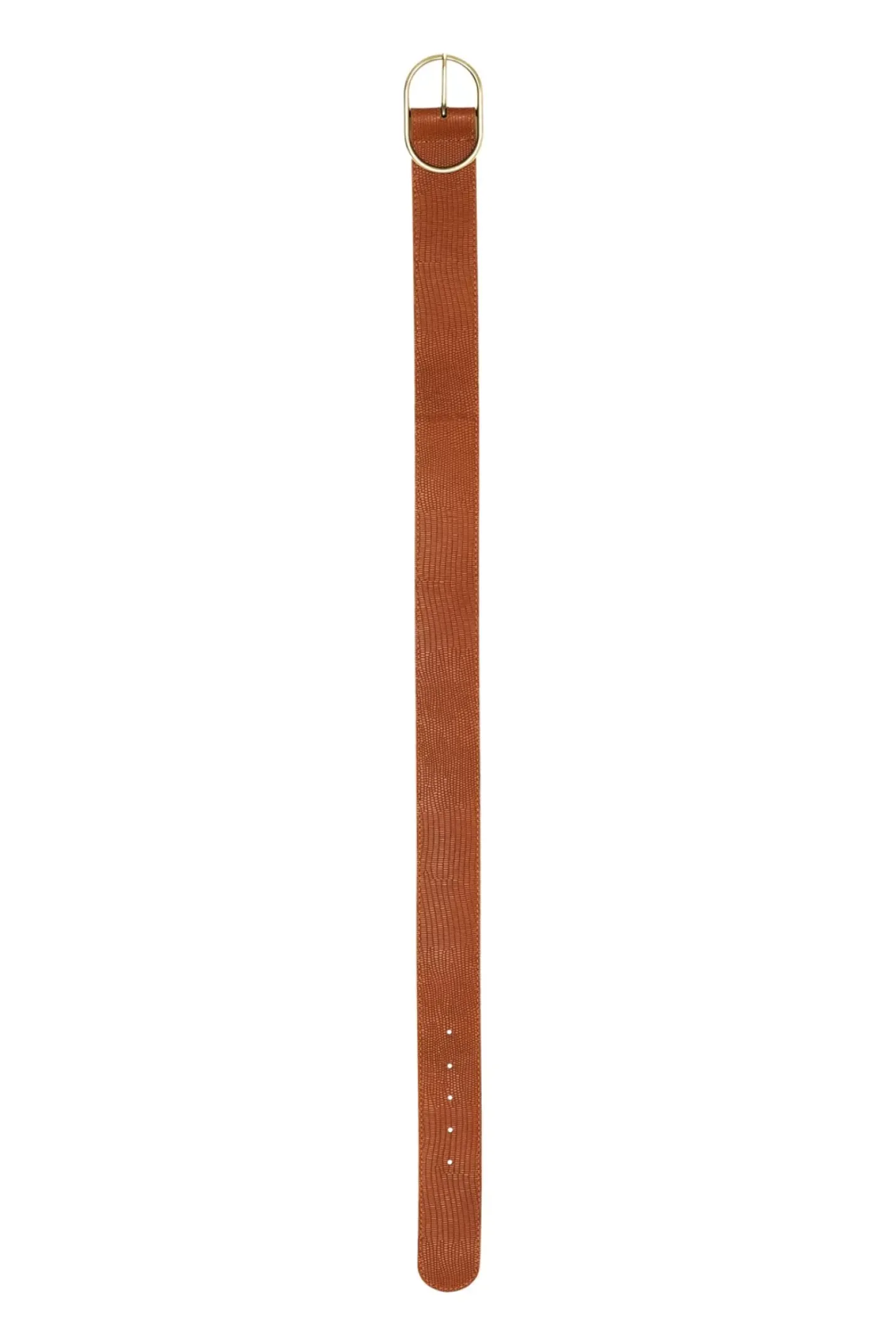 LA PETITE ÉTOILE Accessoires|Ceinture Jared Camel